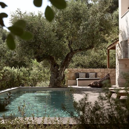 Zayn Luxury Villas, A Serene Escape, By Thinkvilla Tsilivi  Extérieur photo