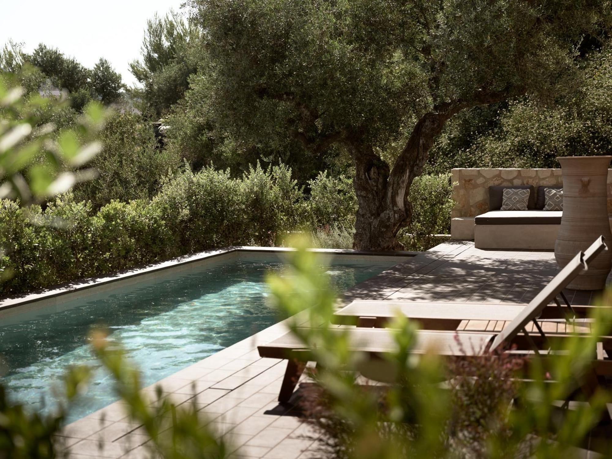 Zayn Luxury Villas, A Serene Escape, By Thinkvilla Tsilivi  Extérieur photo